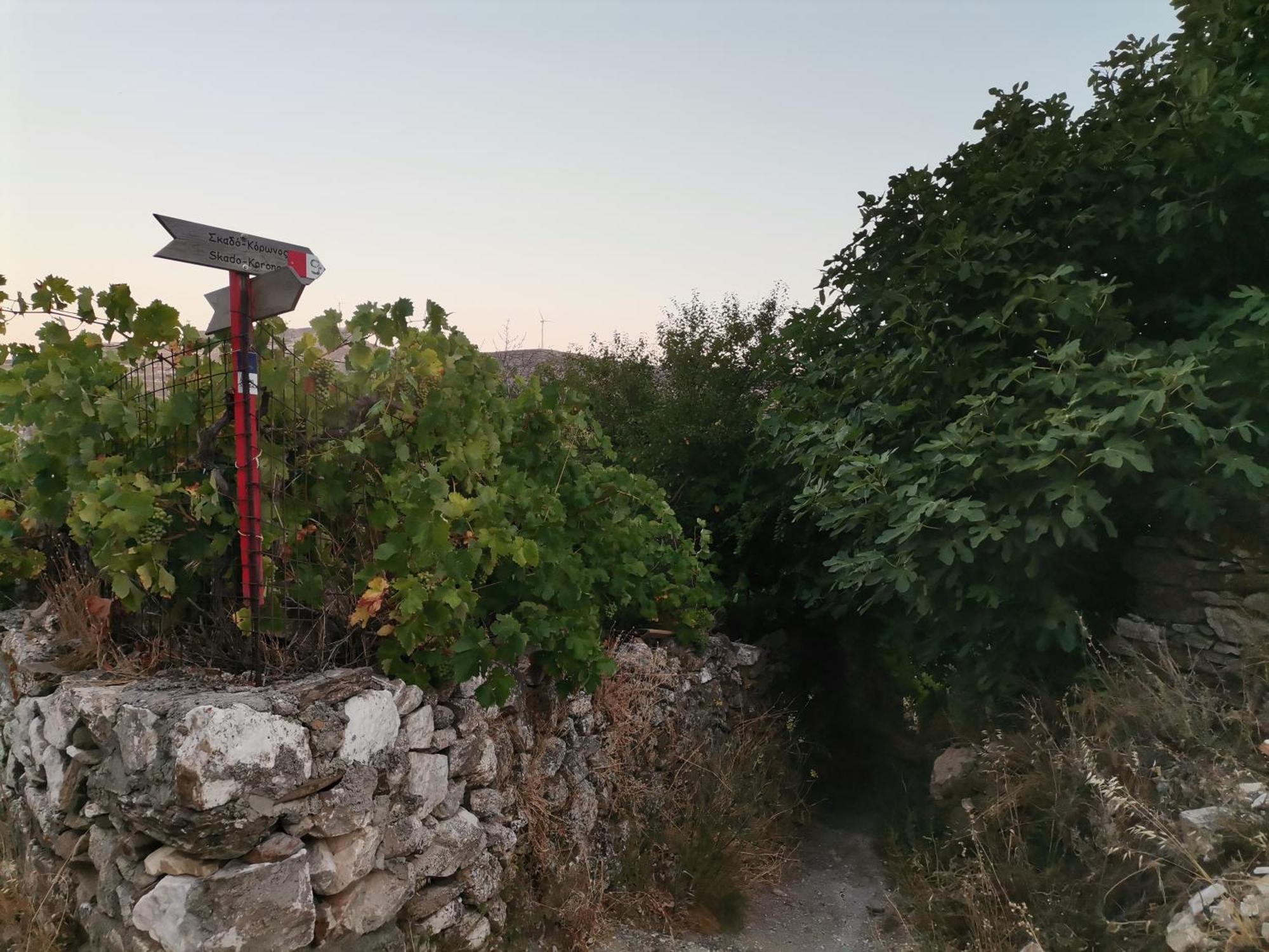 Ferienwohnung Naxos Mountain Retreat - Tiny House Build On Rock Koronos Exterior foto